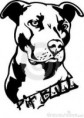 /album/pidbull/imagescac3mlz5-jpg/
